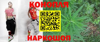 твердый Бийск