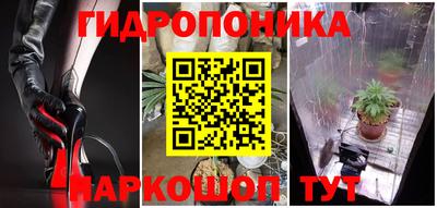 ПСИЛОЦИБИНОВЫЕ ГРИБЫ Берёзовский