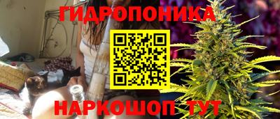 ПСИЛОЦИБИНОВЫЕ ГРИБЫ Берёзовский