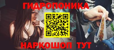 ПСИЛОЦИБИНОВЫЕ ГРИБЫ Берёзовский