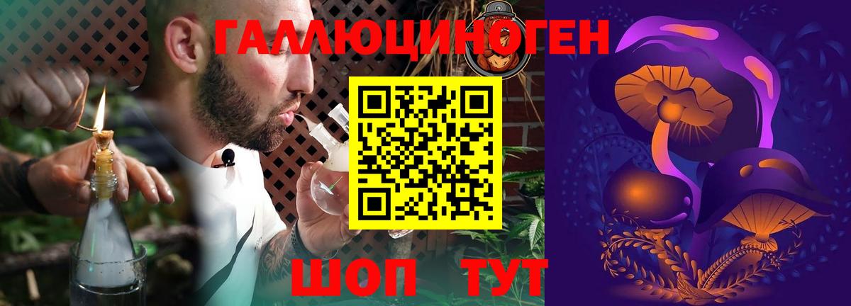 Галлюциногенные грибы Cubensis Касимов