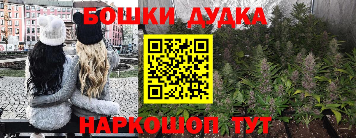 Бошки марихуана LSD WEED  Вход с VPN  Касимов  Каннабис сатива  Каннабис Amnesia  Каннабис LSD WEED 